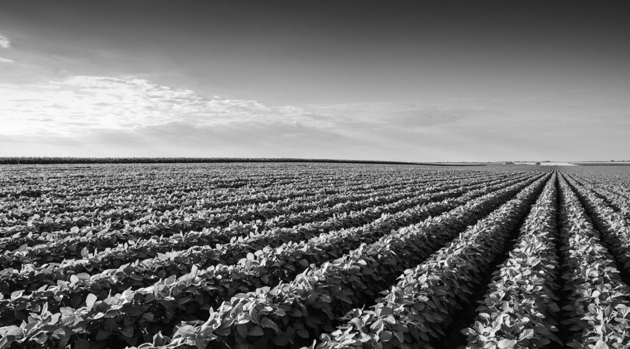 rendel-soluciones-gda-bg